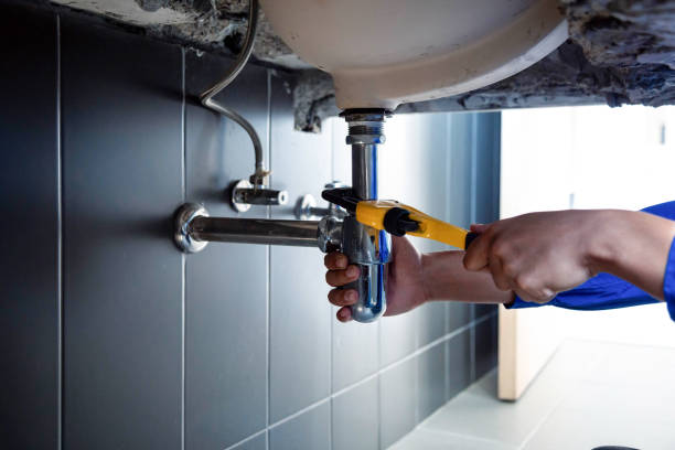 Best Emergency Plumbing Services in Monroeville, AL